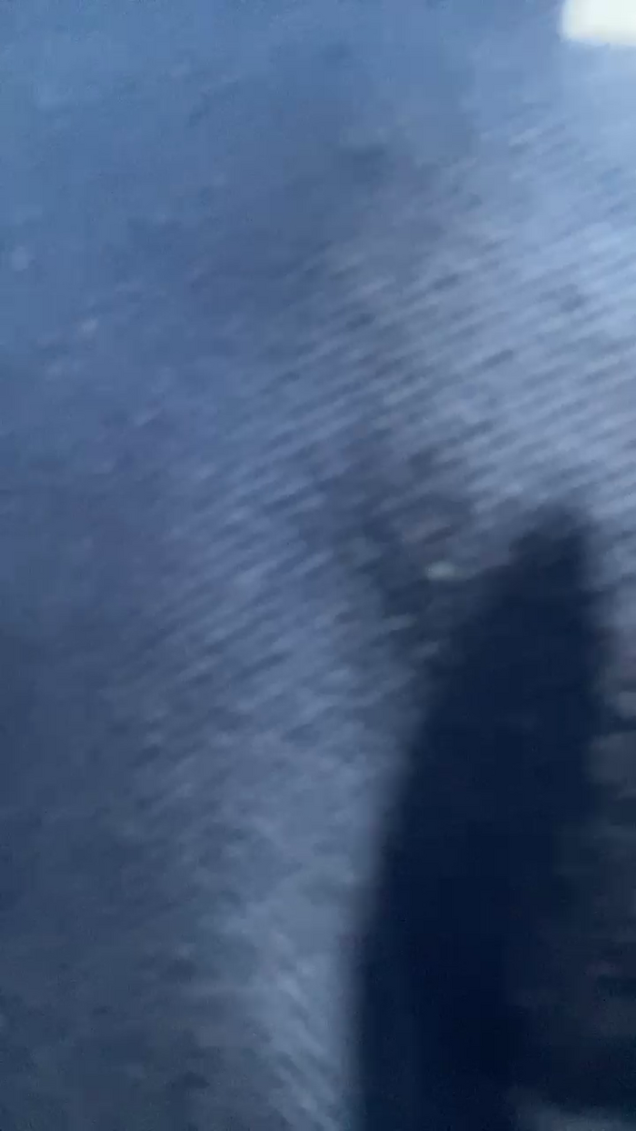 ivanjuniior_