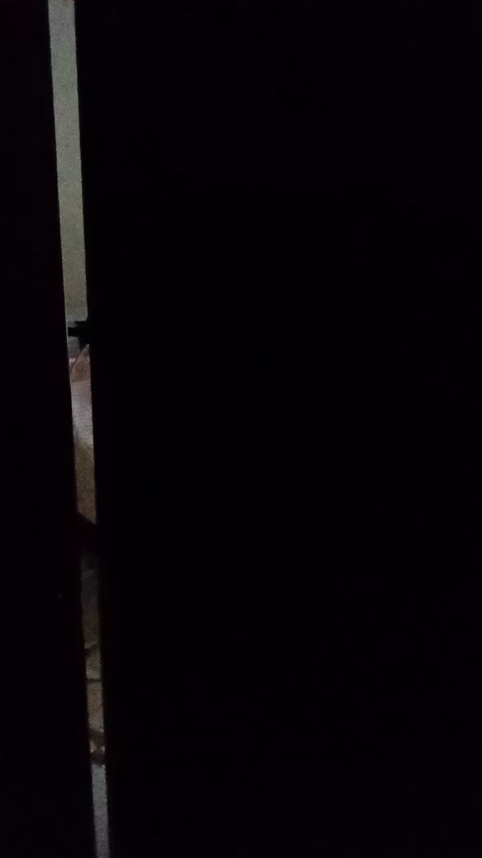 Divertiamoci86