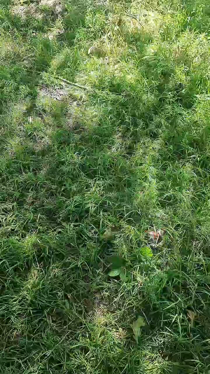 Outdoorgeil1