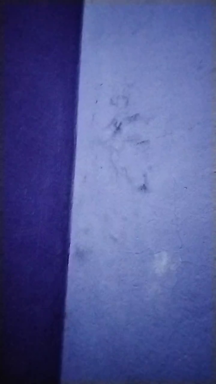 calentita38