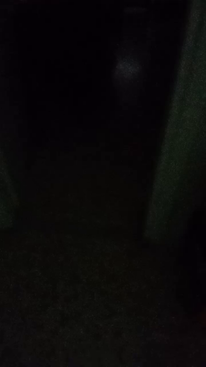Divertiamoci86
