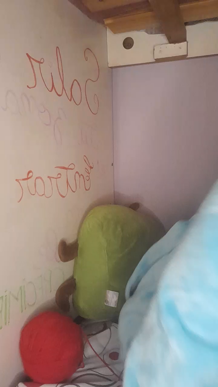 maiafox_