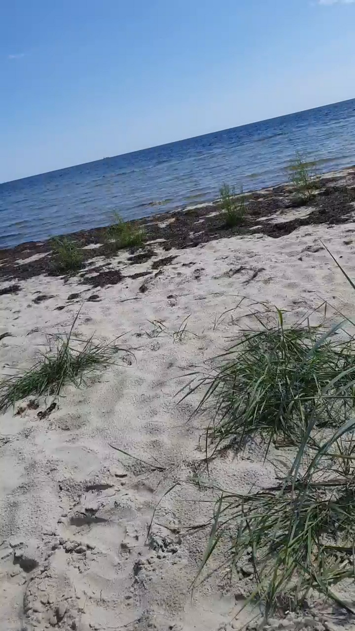 Zeigegeiler69