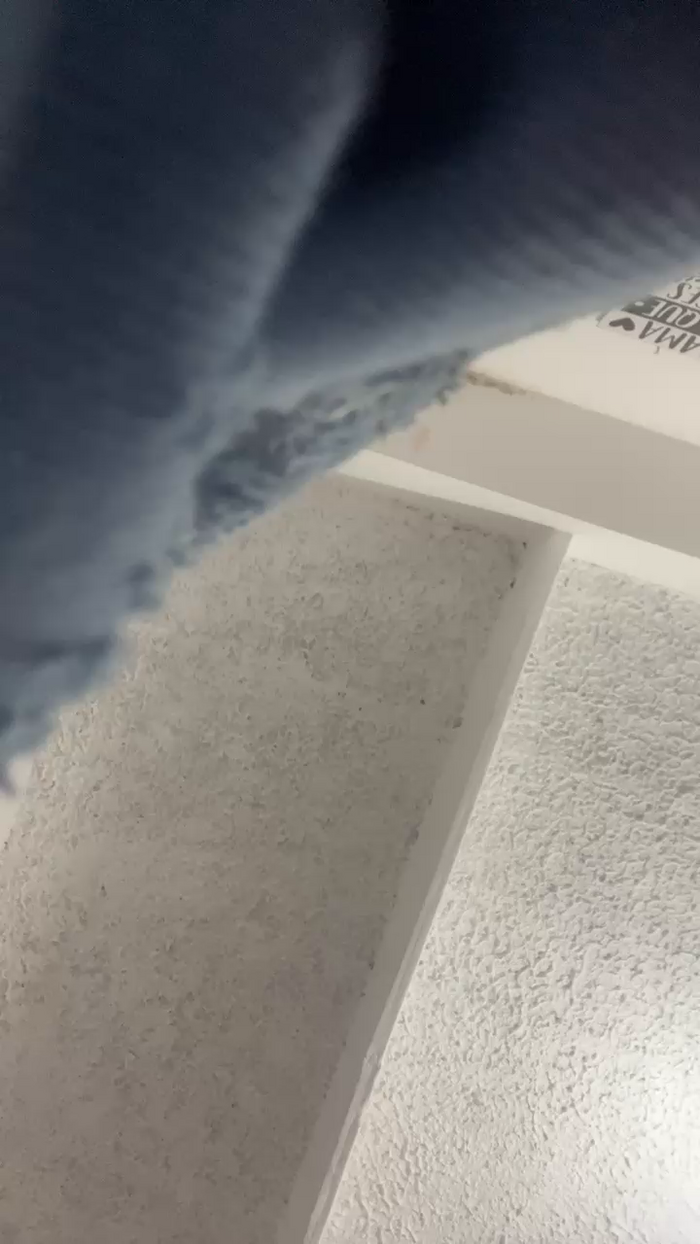 Lauren_44