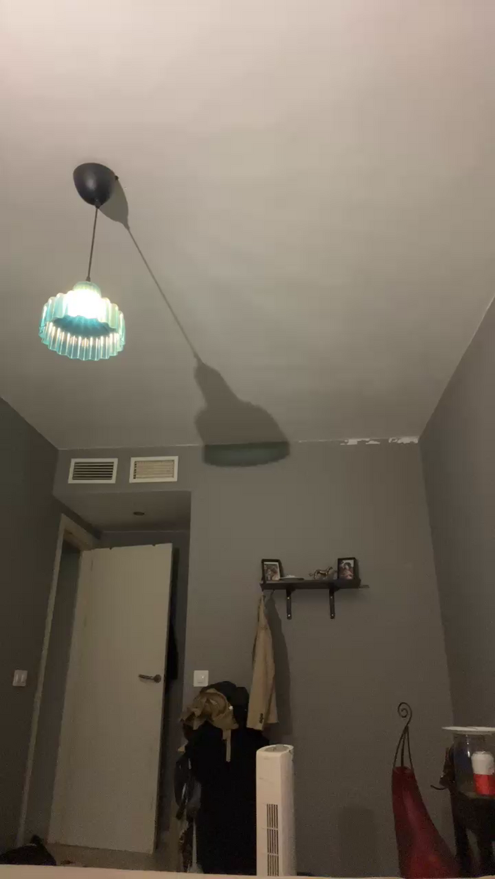 Pollon29_cm