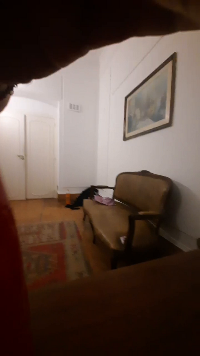 MelisaV19