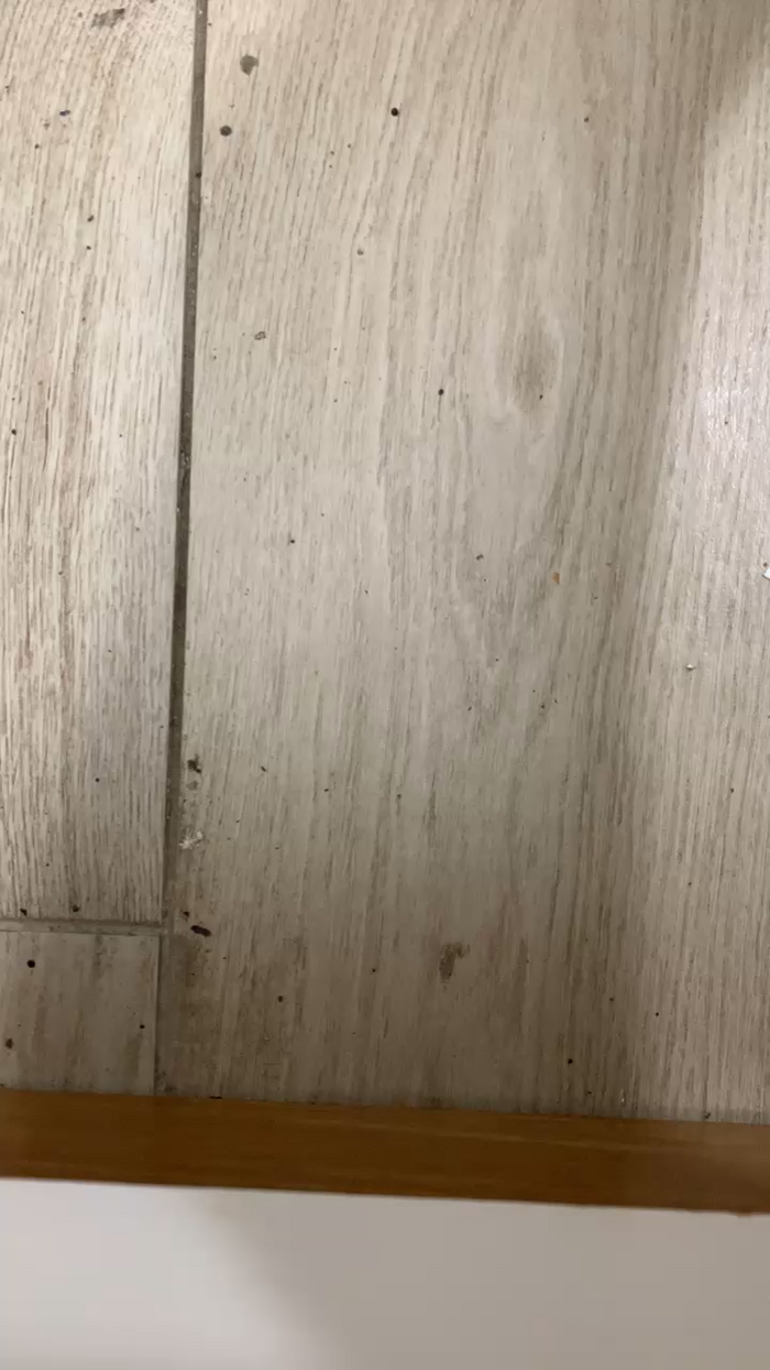 ericperez5