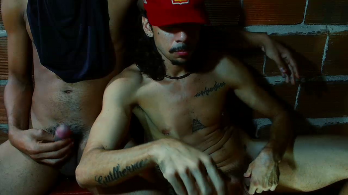tayllortroy