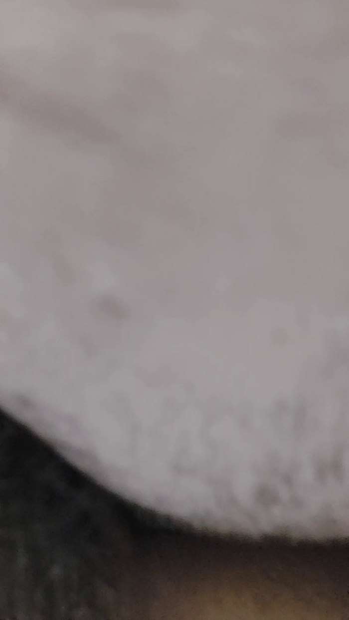 nastyboy88
