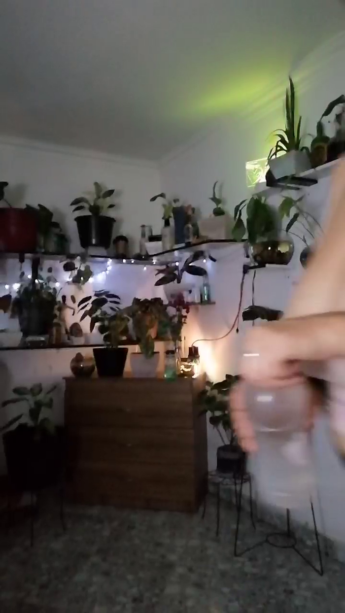 CrazyMom69