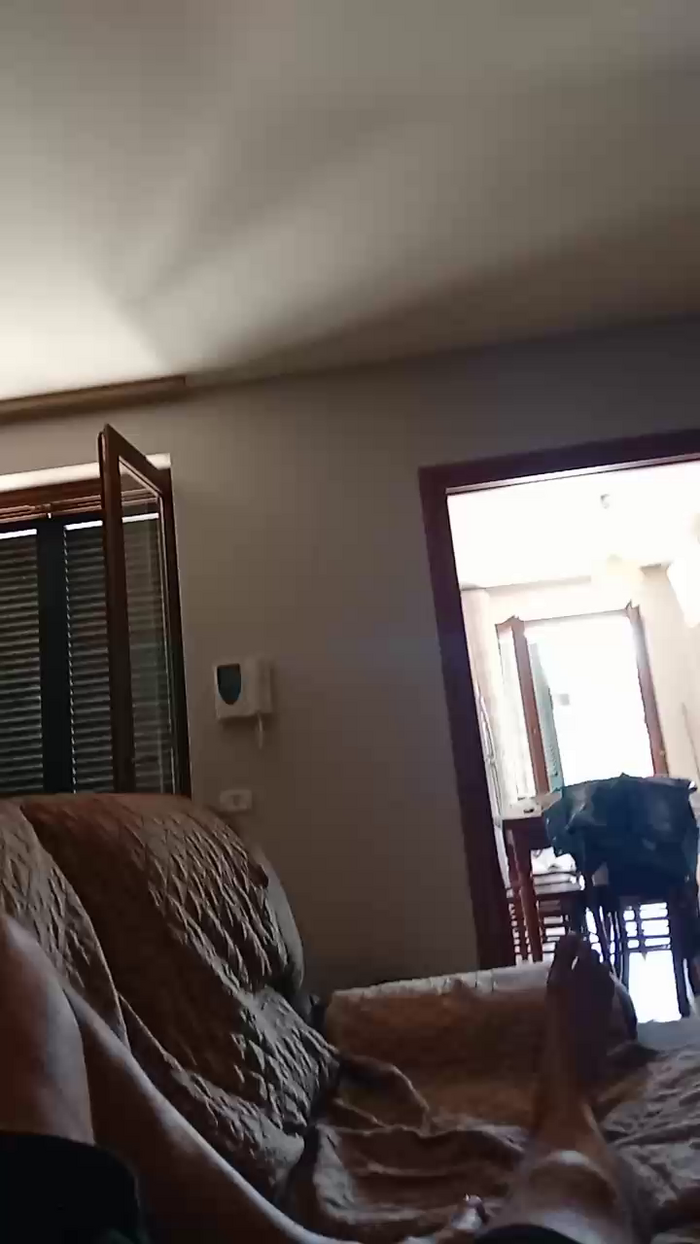 Divertiamoci86