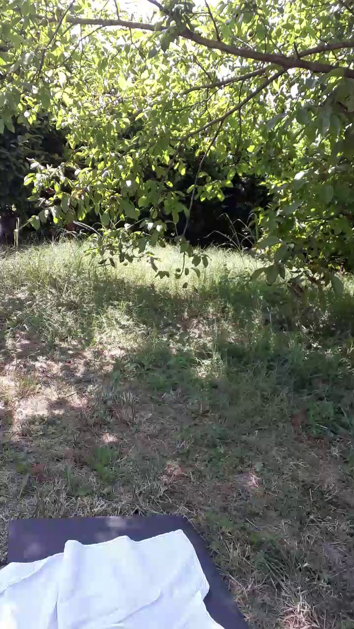 Zoebrazil49