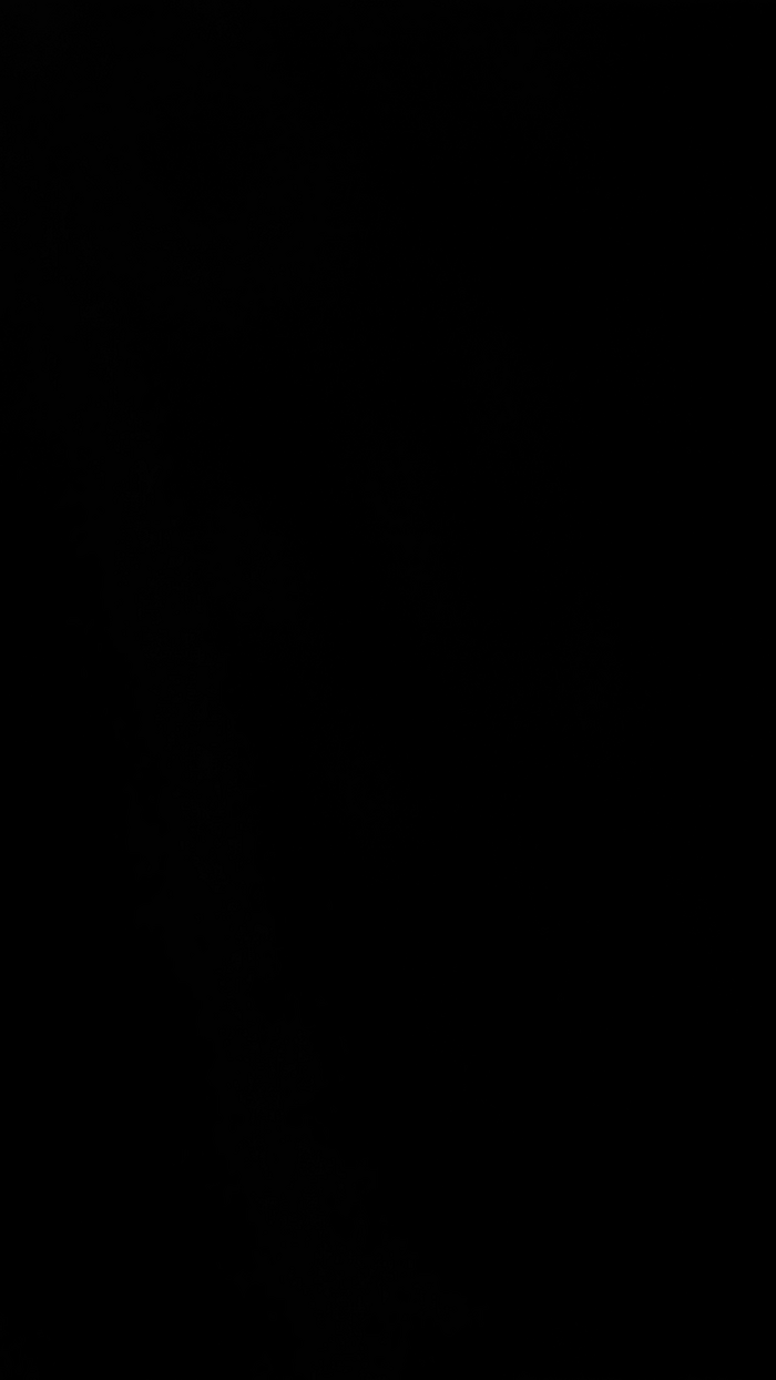 alessandravite1