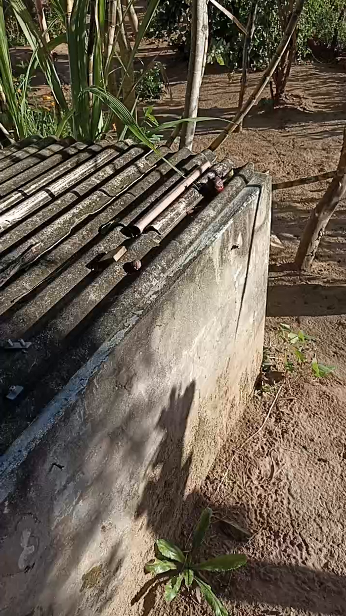 magrogostoso1