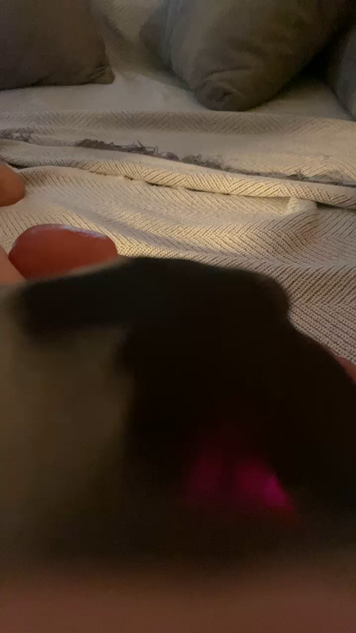 Chicacomepollas