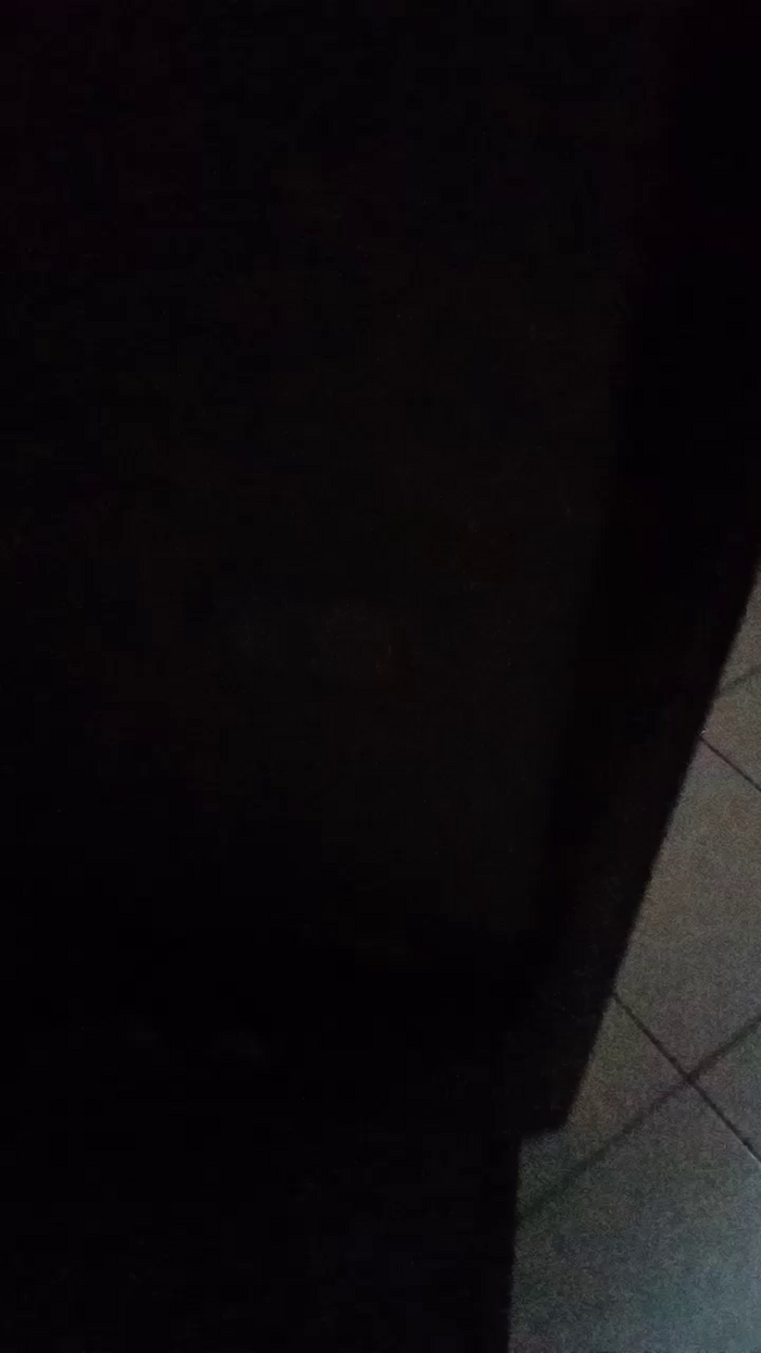 Divertiamoci86