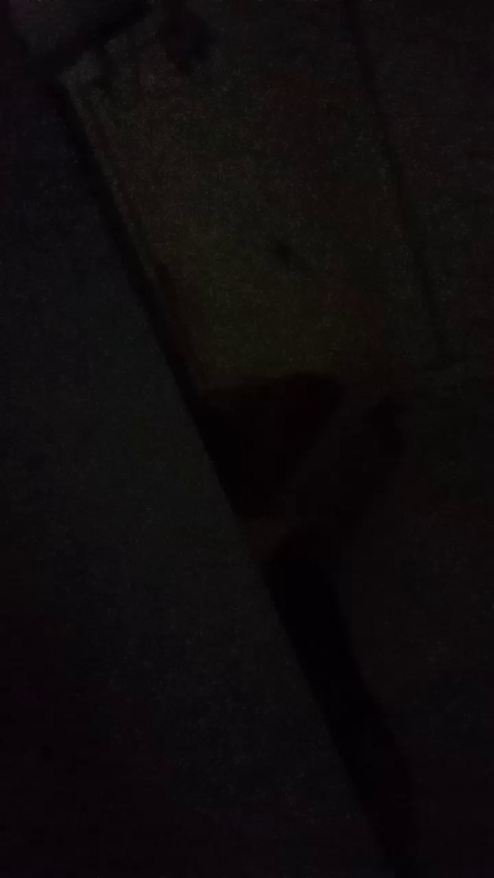 Divertiamoci86
