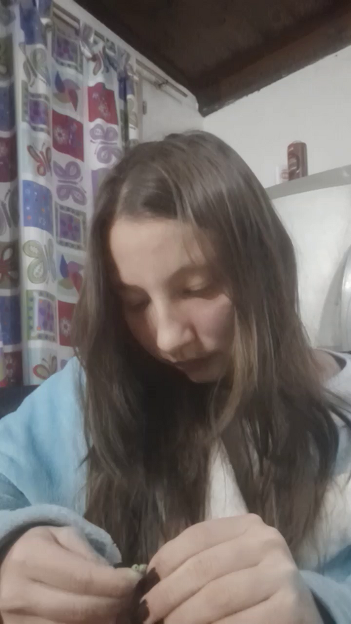 maiafox_