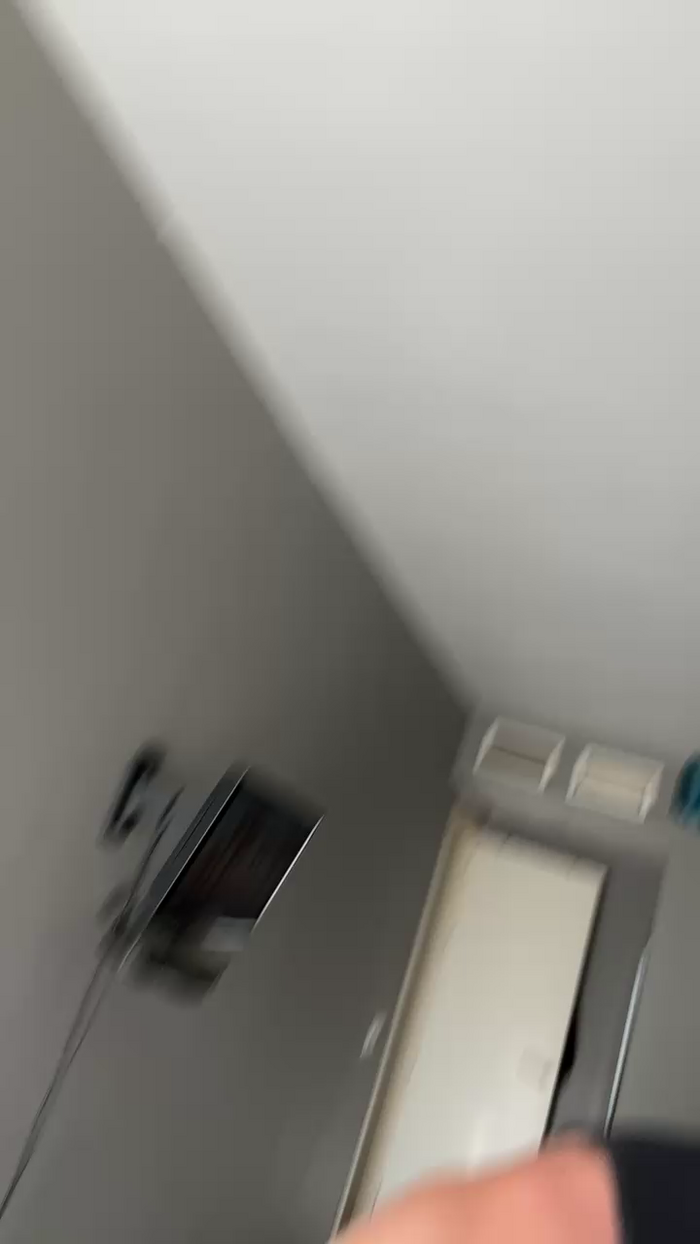 Pollon29_cm