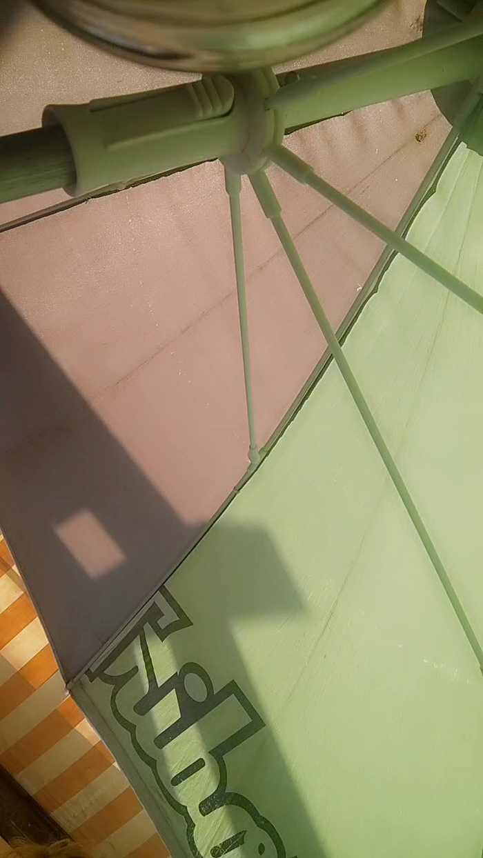 stefycamy