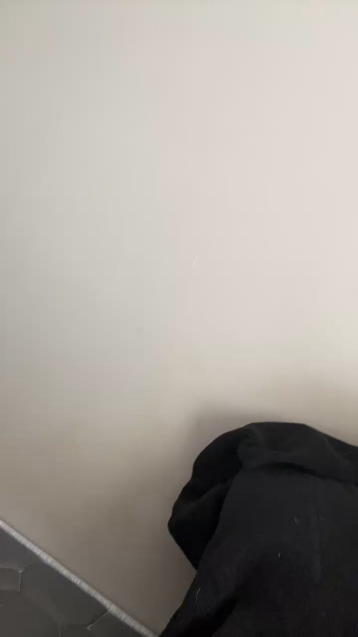 Pollon29_cm