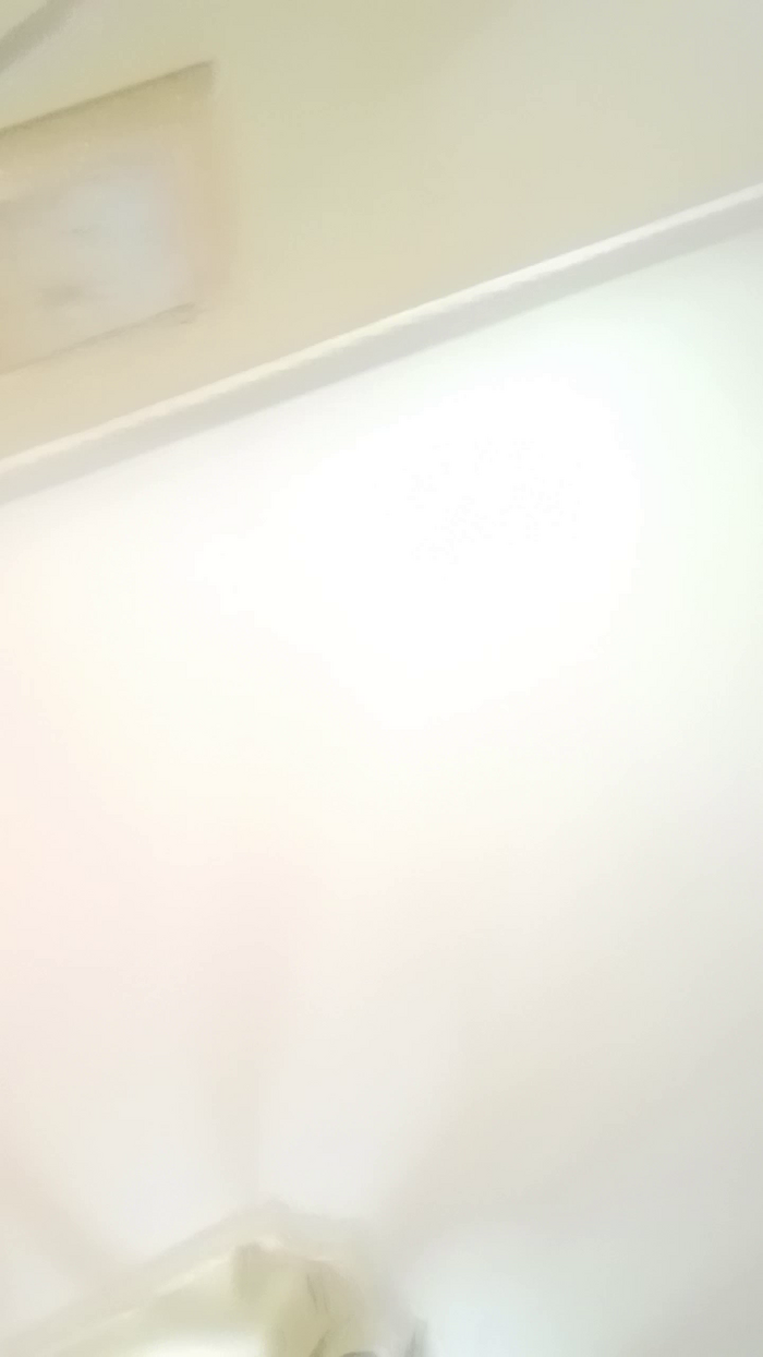Noemymonella