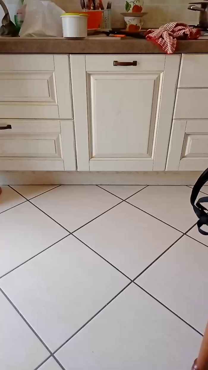 Divertiamoci86