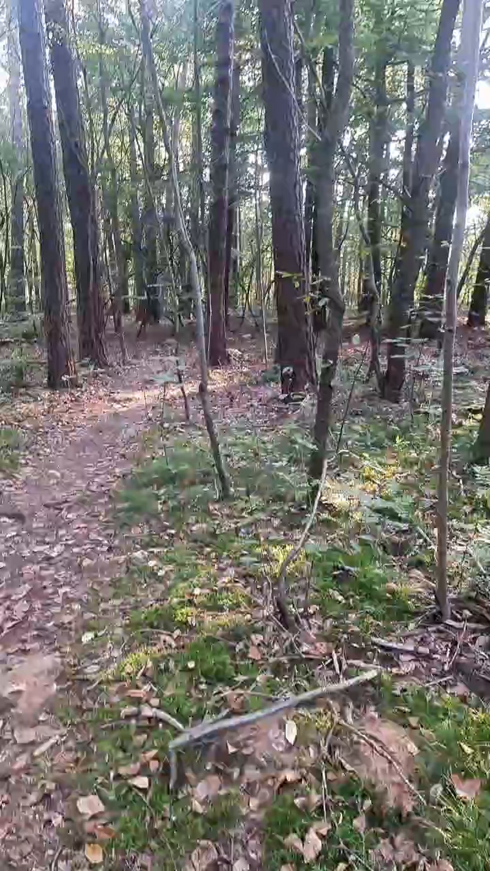 Outdoorgeil1