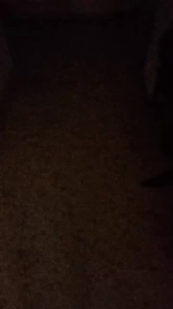 Divertiamoci86