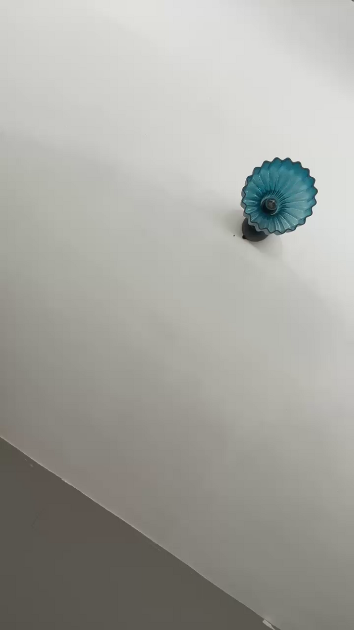 Pollon29_cm
