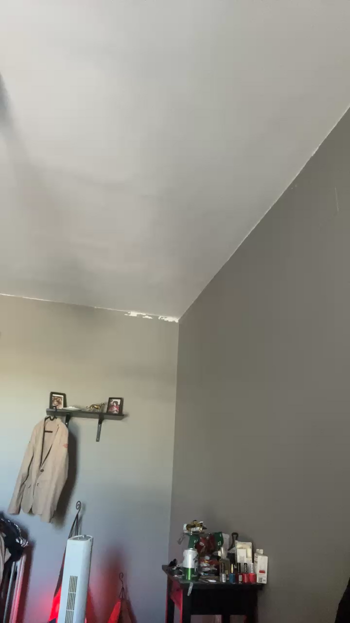 Pollon29_cm
