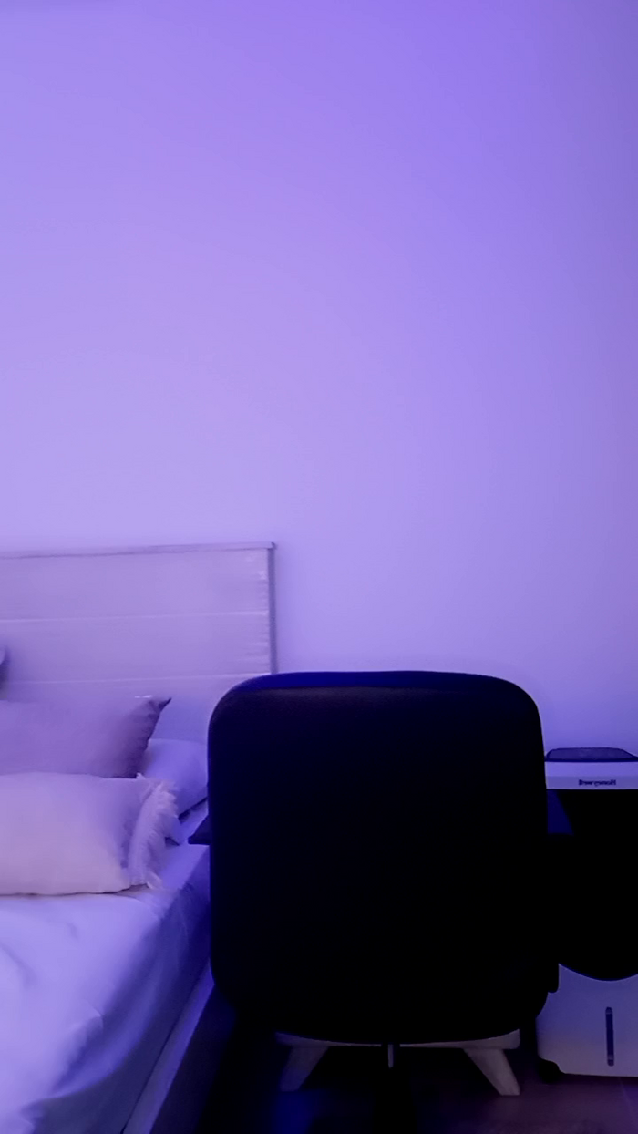 MonyCat_