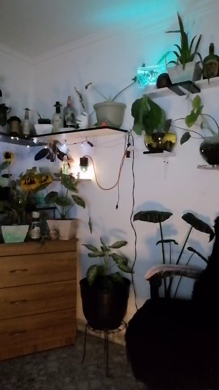 CrazyMom69