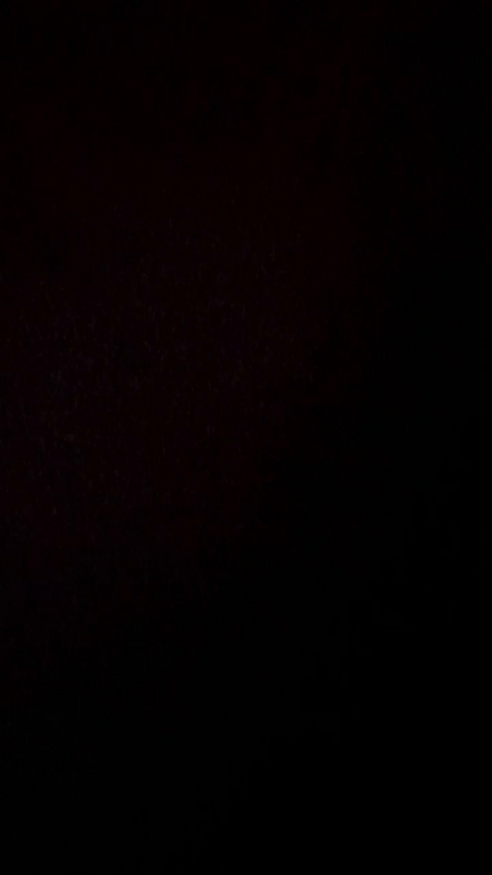 MerlotInvierno