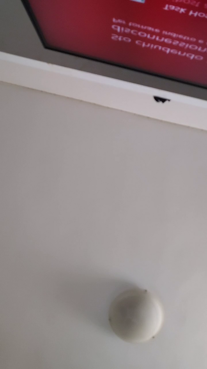 _jess1