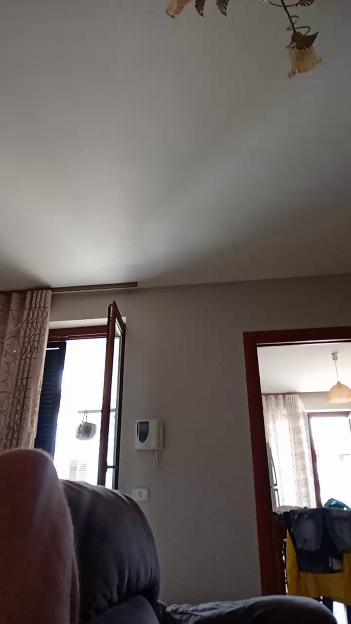 Divertiamoci86