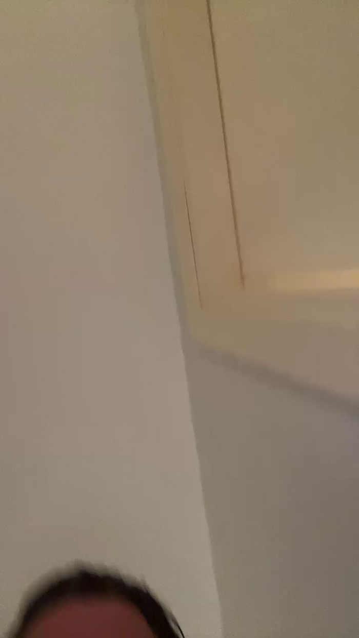 Pollon29_cm