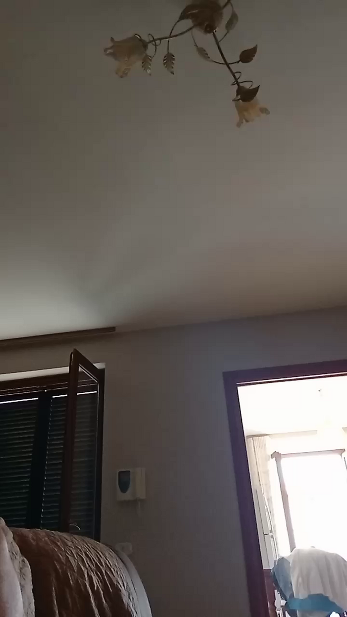 Divertiamoci86