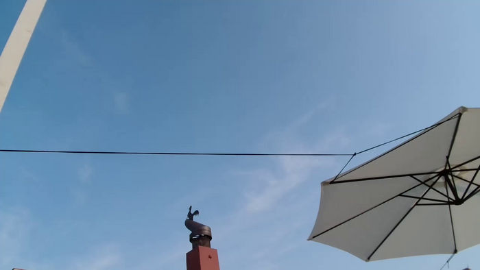 CatFetish