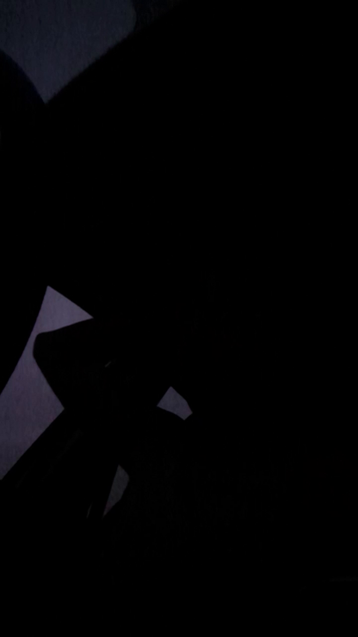 El_ceco