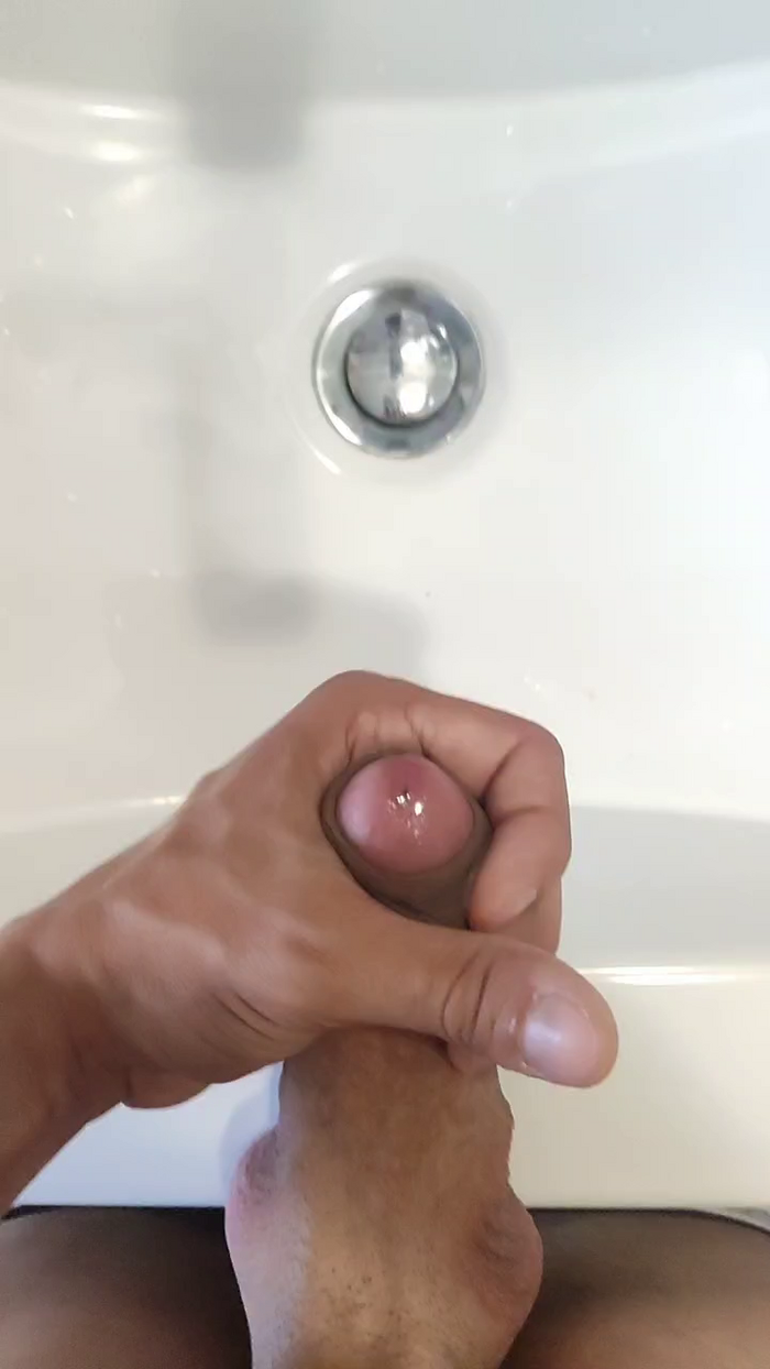 perroloco68