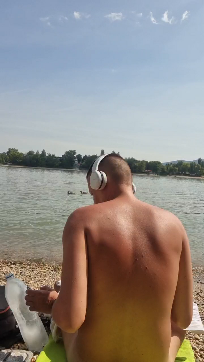 viraglaci18