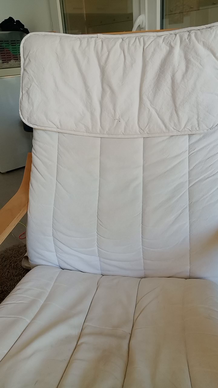 Mimidreve_