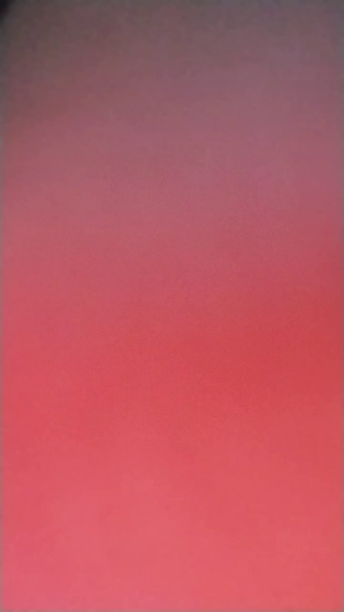 RAYSSA_VIZ0