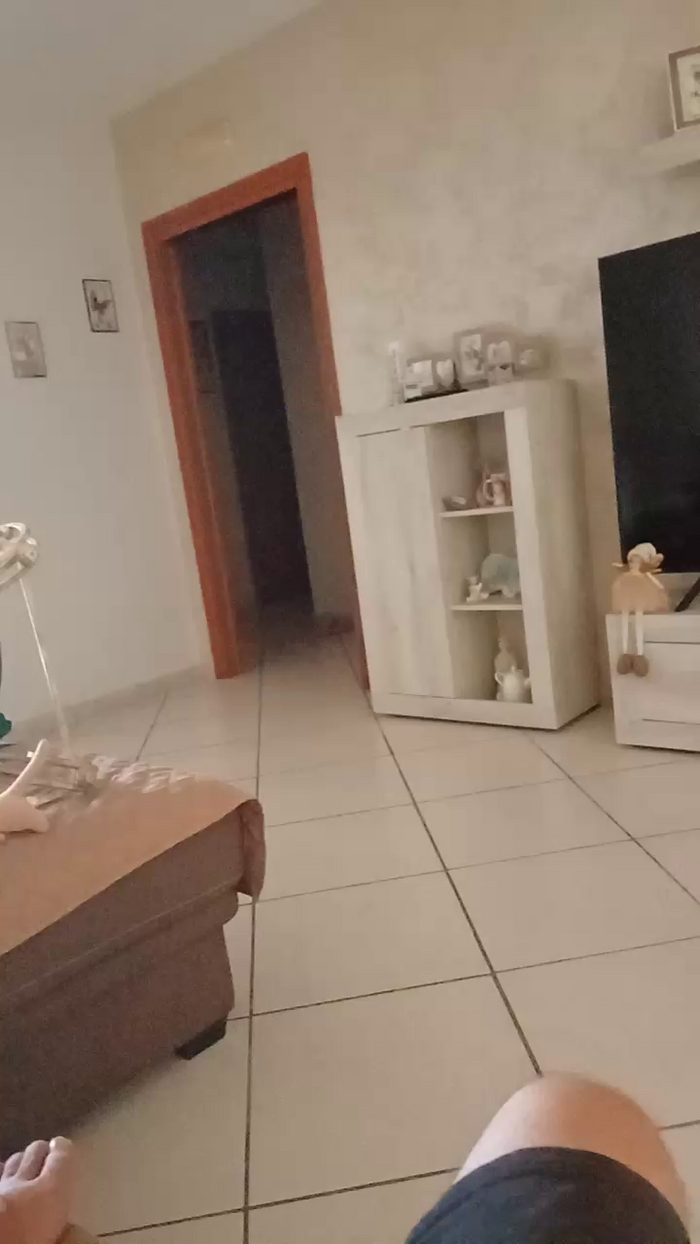 Divertiamoci86