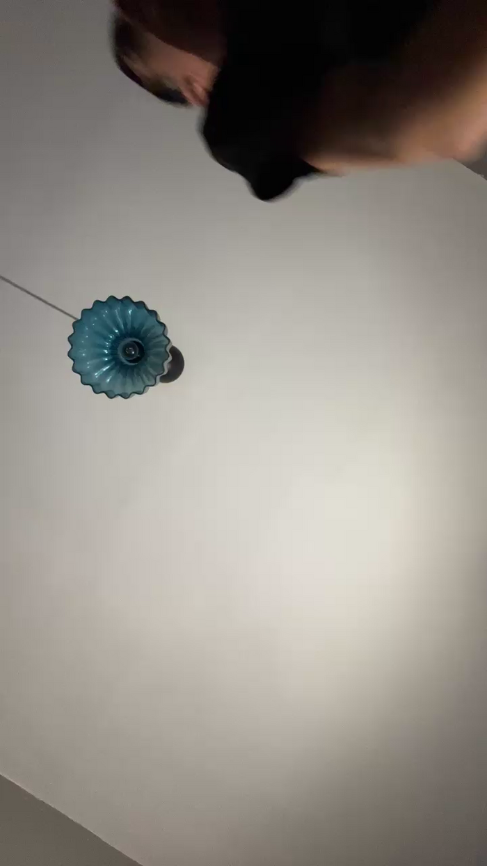 Pollon29_cm