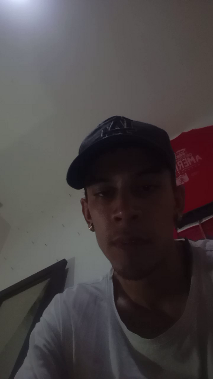Bartisam