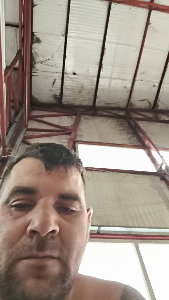 mumuselu1