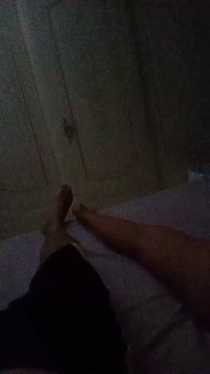 Divertiamoci86