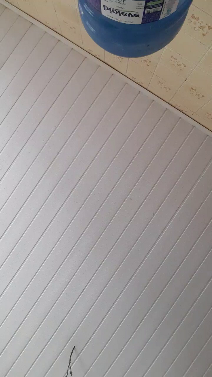Vitinho19cm